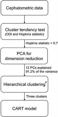 Development of a new category system for the profile morphology of temporomandibular disorders patients based on cephalograms using cluster analysis